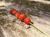 Alpine Strawberries